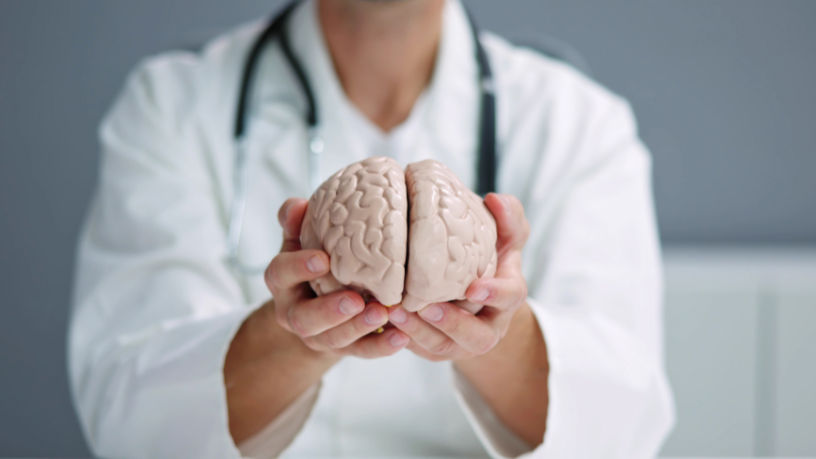 Nutrindo a memória mostra como a alimentação pode fortalecer o cérebro e melhorar o desempenho mental com as orientações de Alexandre Costa Pedrosa.