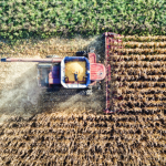 Alfredo Moreira Filho analisa como a gestão de riscos no agronegócio orienta decisões sob incerteza com mais previsibilidade e proteção ao capital.