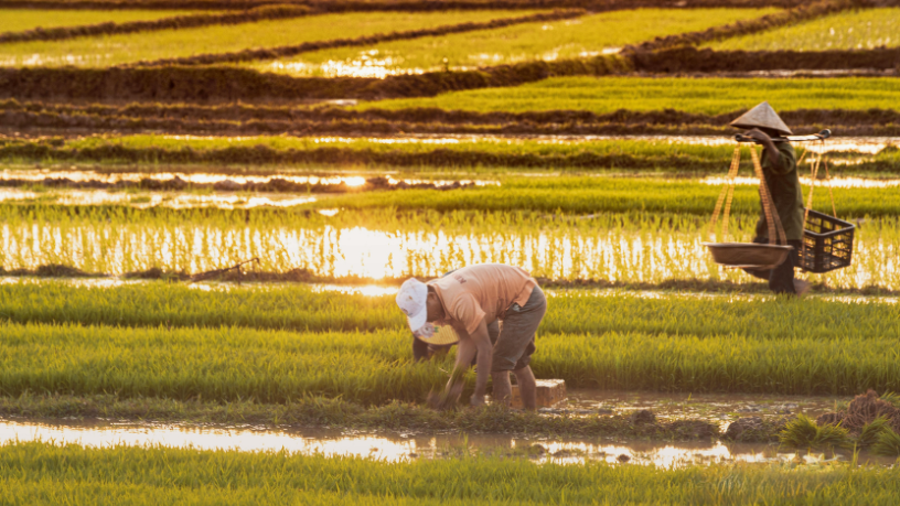 Agronegócio mais competitivo com certificação verde, destaca Aldo Vendramin.