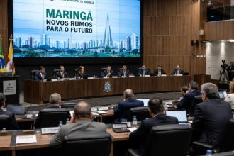 O Impacto da Representação Parlamentar no Desenvolvimento Econômico e os Novos Rumos de Maringá