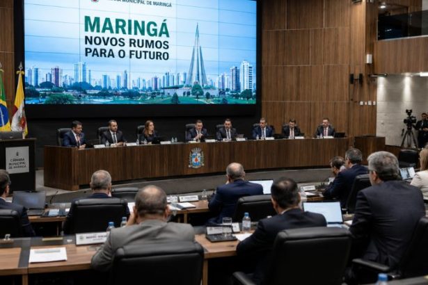 O Impacto da Representação Parlamentar no Desenvolvimento Econômico e os Novos Rumos de Maringá