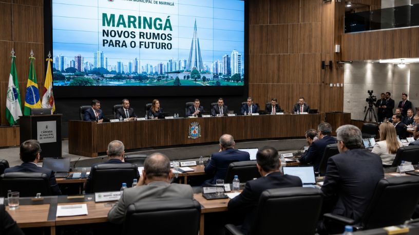 O Impacto da Representação Parlamentar no Desenvolvimento Econômico e os Novos Rumos de Maringá
