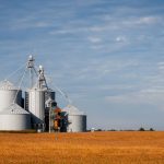 Silos de armazenamento de grãos em meio a uma plantação dourada sob céu azul.