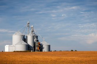 Silos de armazenamento de grãos em meio a uma plantação dourada sob céu azul.