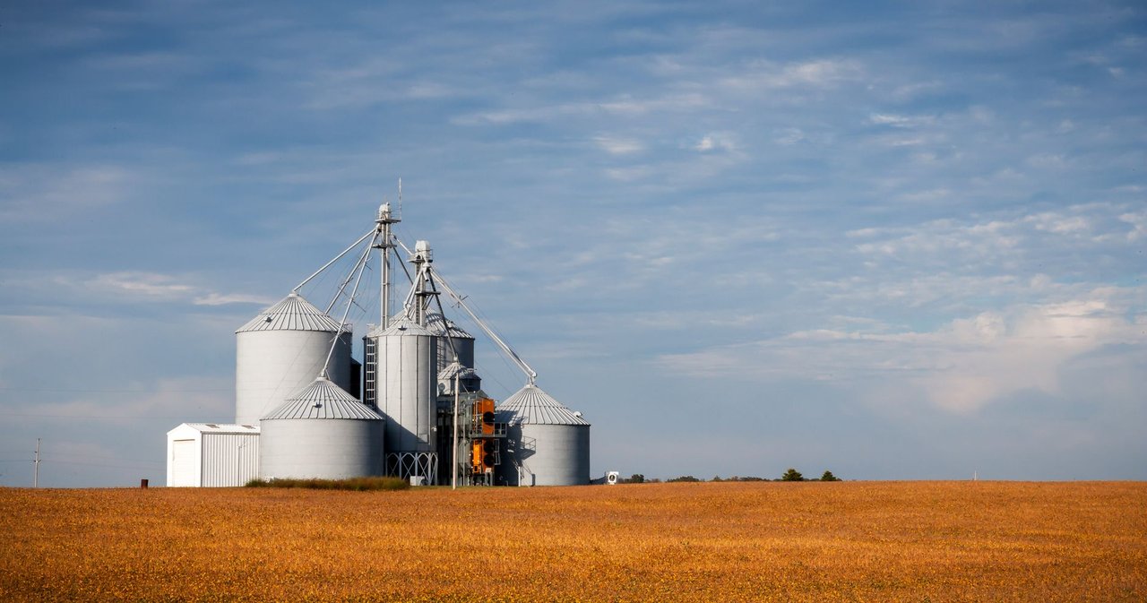 Silos de armazenamento de grãos em meio a uma plantação dourada sob céu azul.